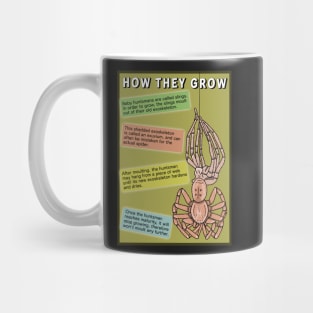 Huntsman spider information poster Mug